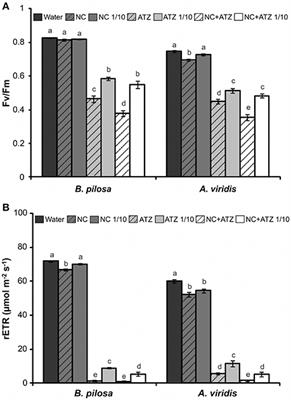 Post-Emergence Herbicidal Activity of Nanoatrazine Against Susceptible Weeds